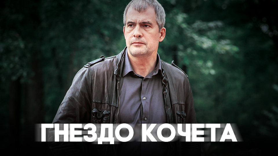 Гнездо Кочета