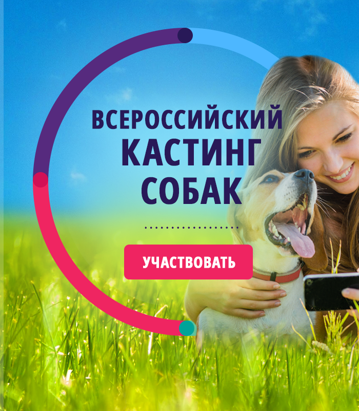 Всероссийский кастинг собак
